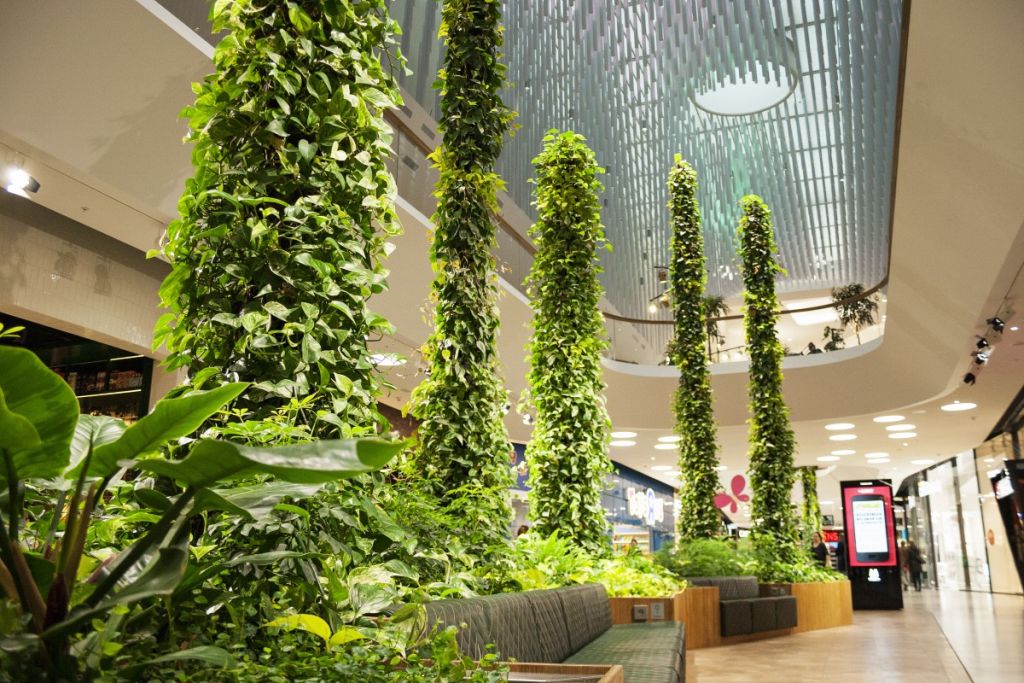 How interior plants improve the indoor experience.