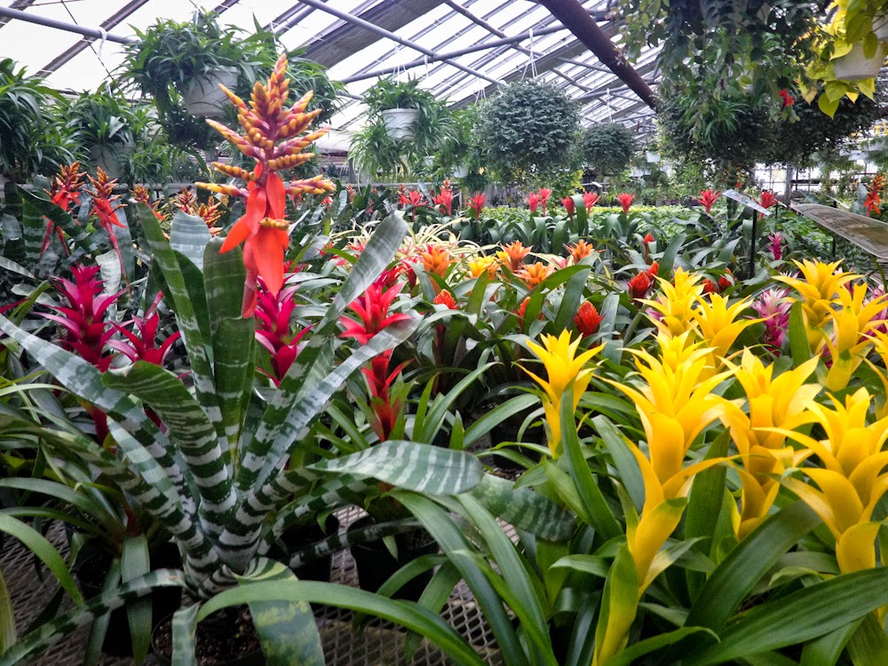 Valleyview Greenhouses.