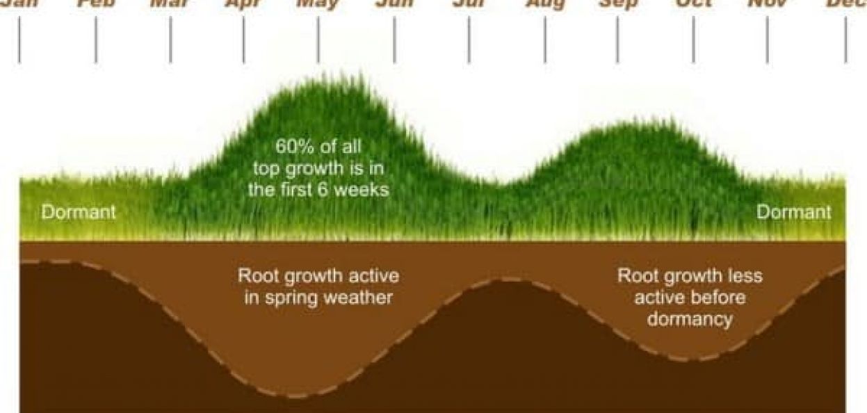 Grass_Growth_Chart-600x297