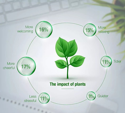 the-impact-of-plants